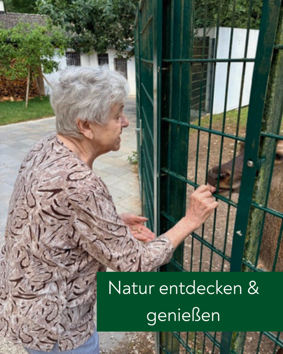 2_höllohe.png