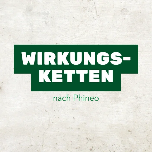 Wirkungskette1.png