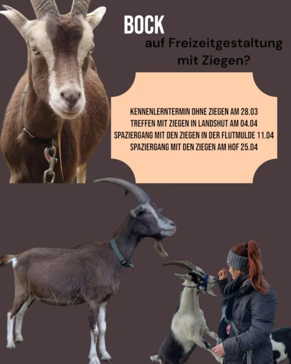 LA_Ziegen20251.png