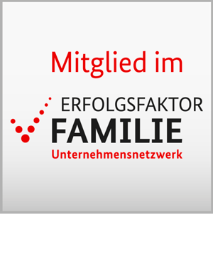 sozialteam_erfolgsfaktor-familie.png 